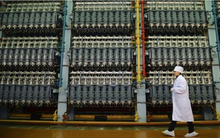 Đức tăng cường mua uranium của Nga