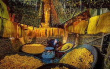 Một mặt hàng của Việt Nam đang được Nga liên tục săn lùng: Là kho báu tỷ đô vừa vươn lên thứ 2 thế giới, 112 quốc gia khác đua nhau chốt đơn