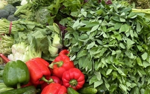 Giá rau xanh ở Hà Nội ‘nhảy múa’, đắt gấp đôi sau bão Bualoi