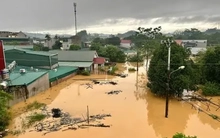 Khẩn trương báo cáo, bồi thường bảo hiểm thiệt hại bão số 10