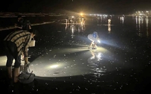 Nửa đêm cả làng rủ nhau đi mò “lộc trời”, có người gom cả chục kí, dùng bao tải mới mang về nổi