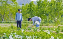 Trưởng phòng nghỉ hưu sớm, mang 7 tỷ đồng về quê xây nhà sau 3 tháng đã khẳng định: Tránh xa bon chen, tôi trẻ ra 10 tuổi, còn thu ‘lãi đậm’