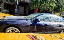 Bồi thường hơn 1.670 tỷ đồng bảo hiểm do thiệt hại bão