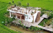 2 người bạn thân U45 bán nhà ở phố về quê xây homestay dưỡng già, nửa năm sau ngồi khóc: Đây là địa ngục