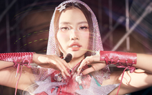 Phương Mỹ Chi xin lỗi