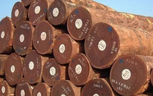 Việt Nam vừa vận hành nhà máy sản xuất 'vàng xanh' quy mô nhất thế giới: Là mặt hàng cả thế giới đều cần, quy mô thị trường hàng chục tỷ USD