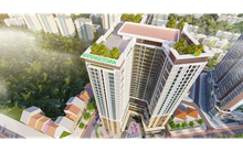 Intracom của Shark Việt bị 'điểm tên' trong danh sách chậm đóng bảo hiểm