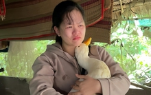 Bim Bim - chú vịt Việt Nam đầu tiên "làm" YouTube qua đời