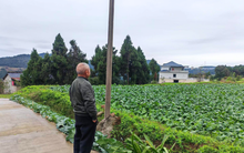 Cầm 8 tỷ về quê dưỡng già, 1 năm sau người đàn ông ôm mặt khóc: “Tôi thực sự hối hận rồi”