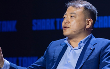 Shark Nguyễn Hòa Bình bị khởi tố 2 tội danh