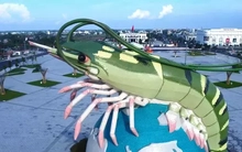 Cận cảnh con tôm 22 tỷ đồng ở Cà Mau