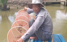 Miền Tây: Cua biển cột  bằng dây nilon giá 450.000 đồng/kg