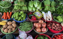 Phát hiện loại rau rẻ tiền là "kẻ thù" của mỡ máu, tiểu đường: Việt Nam rất sẵn