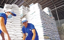 Gạo Việt đi đâu về đâu khi Philippines, Indonesia siết nhập khẩu?