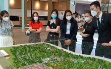 Phó Thủ tướng yêu cầu triển khai giải pháp phòng, chống rửa tiền trong các giao dịch trên các sàn BĐS, tiền ảo