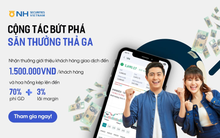 Bứt phá cùng “cú huých” nâng hạng: Cơ hội “vàng” trở thành Cộng tác viên tại Chứng khoán NHSV
