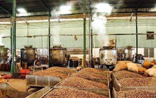 'Sản vật trời ban' giúp Việt Nam xuất khẩu bỏ xa thế giới: Được người Trung Quốc thừa nhận 'ăn đứt' hàng nội, thu về hàng tỷ USD từ đầu năm