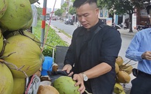 Xuất khẩu dừa tươi nhìn từ bài học sầu riêng, thanh long