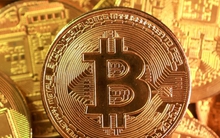 Bóc trần chiêu 'mổ heo': Mô hình lừa đảo đầu tư xuyên biên giới