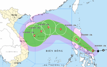 Đường đi dị thường của bão Fengshen: Đột ngột "bẻ lái" khi vào Biển Đông, diễn biến khó lường vì yếu tố này