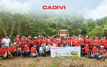 CADIVI phát động chương trình trồng cây “Trao mạch sống xanh, Ươm tương lai bền vững” hướng tới kỷ niệm 50 năm thành lập
