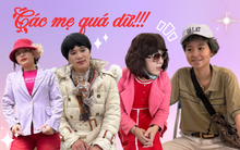 Cơn sốt Mèo Hoang: Khi các mẹ trung niên ở Việt Nam quá hot!