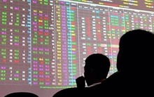 "Mua chui" cả triệu cổ phiếu, Chủ tịch HĐQT một công ty niêm yết bị phạt tiền và cấm giao dịch 4 tháng