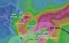 Bão hướng vào Đà Nẵng – Quảng Ngãi, mưa lớn từ đêm mai