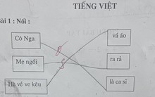 Học sinh tiểu học làm bài tập nối từ khiến netizen suýt nhập viện vì cười: Đúng sai cũng kệ, miễn là nói xấu mẹ thành công