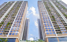 Giá chung cư đang cao kỷ lục, nhiều người cho rằng nên "ghìm" giá phân khúc cao cấp xuống để kéo giá nhà giảm?