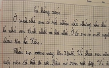 Bài văn tả hàng xóm của học sinh tiểu học khiến dân mạng cười đứt ruột: "Phen này láng giềng lục đục"