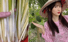 Rau mọc bờ bụi giờ thành đặc sản miền Tây: Giá đắt hơn thịt, 120.000 đồng/kg vẫn nườm nượp người mua