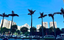 Nguồn cung tăng, vì sao giá bất động sản vẫn chưa hạ nhiệt?