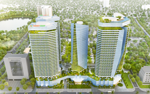 Dabaco góp thêm hơn 430 tỷ đồng vào công ty con