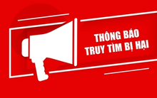 Hải Phòng: Tìm bị hại của Phó giám đốc Nguyễn Văn Nam