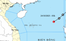 Tin mới về áp thấp  nhiệt đới trên  Biển Đông