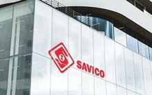 Savico nói gì về việc cổ phiếu SVC tăng trần 5 phiên liên tiếp?