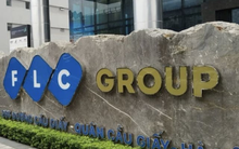 FLC triệu tập đại hội bất thường sau khi tiếp quản Bamboo Airways