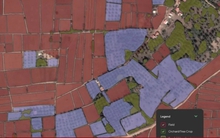 Công nghệ 25/10: Google đưa API ứng dụng mô hình AI cho Nông nghiệp đến Việt Nam