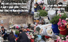 Không cần lên chợ hoa Quảng Bá: Có một “tọa độ hoa rẻ đẹp” đang khiến dân Hà Nội rần rần kéo đến check-in, mua vài bó là có ảnh nghìn like!