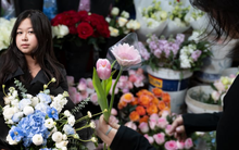 Nghe nói chơi hoa ở Hà Nội mà chưa biết phố Trương Hán Siêu thì chưa phải là sành: Đây là trải nghiệm thực tế