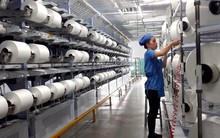 'Cú đấm' của tỷ giá khiến công ty sợi trên sàn giảm 87% lợi nhuận trong quý 3