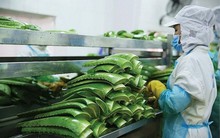 "Vua nha đam" lập kỷ lục lợi nhuận, hoàn thành 88% kế hoạch năm