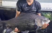 Lão nông U80 thuần hóa “thủy quái” sông Mê Kông suýt tuyệt chủng, trở thành tỷ phú