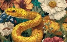 3 con giáp giàu sụ trong tháng 11: Tiền bạc ùn ùn kéo đến, cản cũng không nổi!