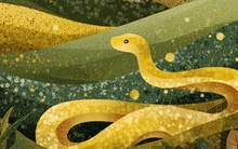 Tuổi Tỵ làm gì để quý nhân “tự tìm đến gõ cửa”: Đọc xong áp dụng ngay, vận may bùng nổ