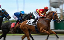 2.000 tỷ đồng lãi gộp mảng môi giới chứng khoán quý 3: Biên lợi nhuận bật lên mức cao nhất 4 năm