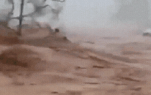 Siêu bão mạnh nhất 2025 “xé toạc” mọi thứ: Video cận cảnh cho thấy sự tàn khốc