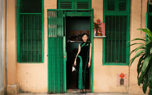 Những khung hình trong bộ phim kinh điển làm rung động cả châu Á bất ngờ được tái hiện tại Việt Nam