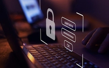 Đã loại bỏ hơn một nửa số lượng tài khoản cá nhân nhận tiền lừa đảo